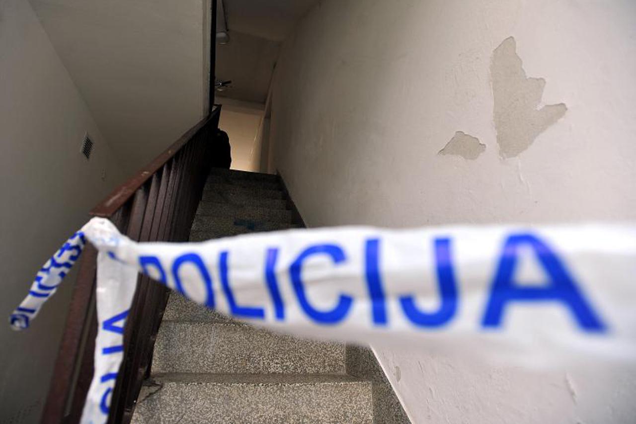 peruanska ulica,gajnice,policija (1)