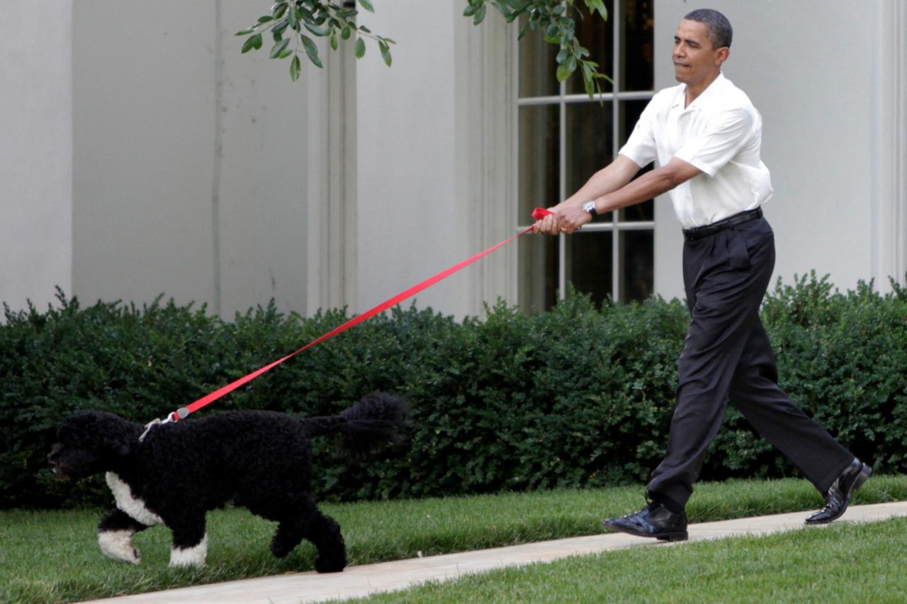 Bo šeta Obamu