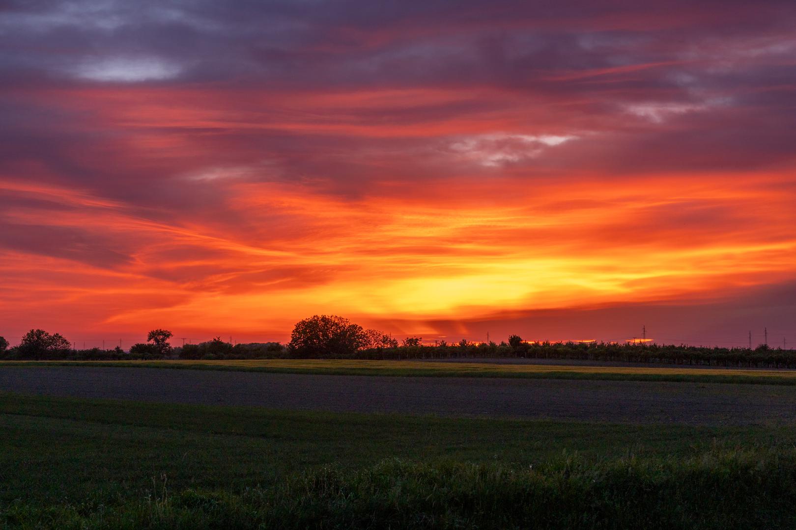 Fotograf Pixsella Borna Jakšić uhvatio je ovaj trenutak pored prekrasnih slavonskih polja.