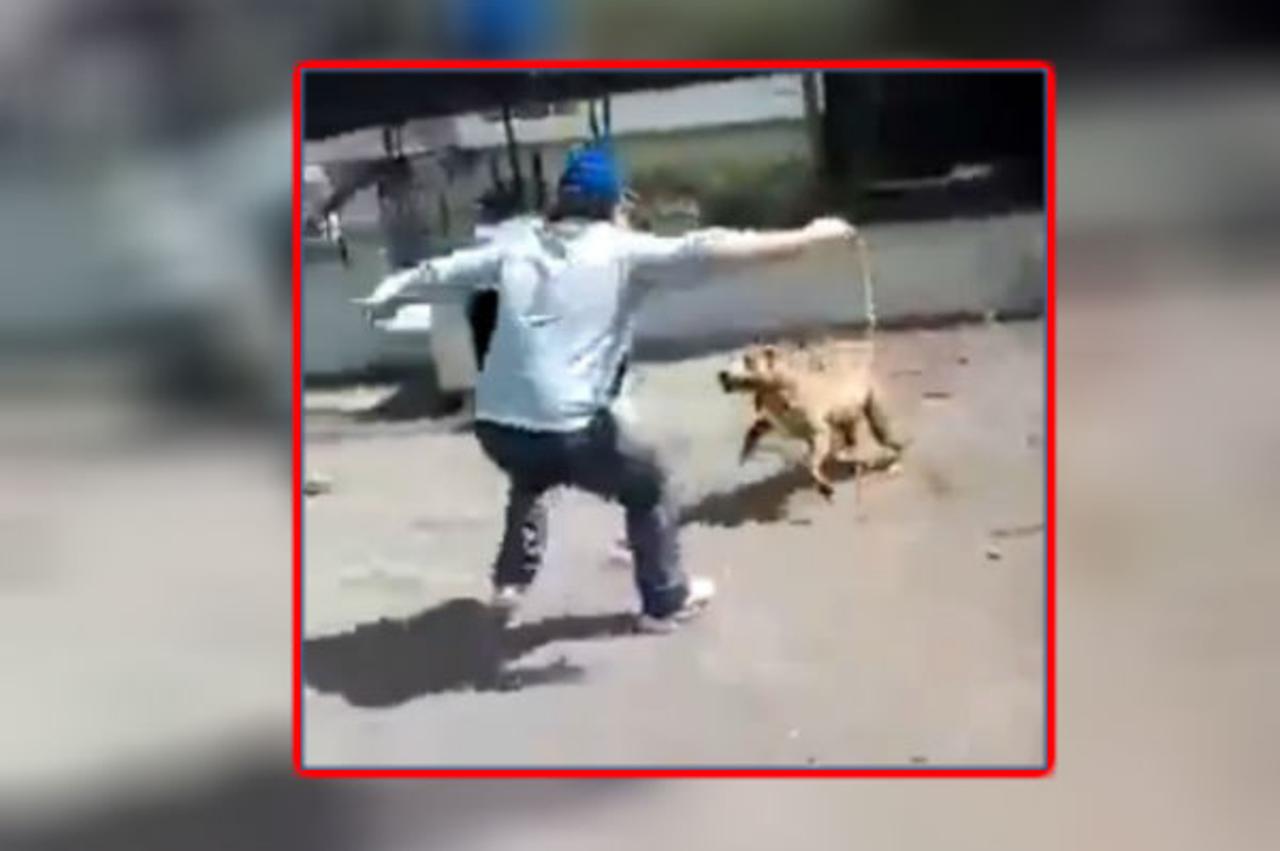 Osveta pit bulla nad mladićem koji ga je mučio