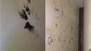 Young Man's Mold-Infested Room Sparks Outrage Online; Father Dismisses Concerns