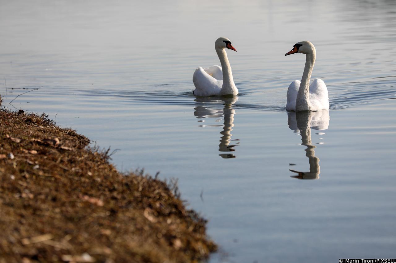 Zagreb: Šetnica uz jezero Jarun puna je ljudi koji uživaju u sunčanom danu