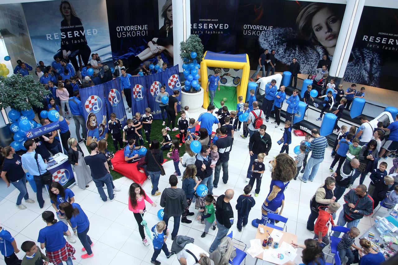 dinamo