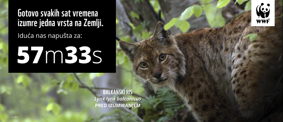 WWF Adria