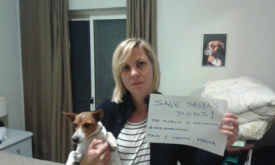 Serbia's Forgotten Paws,Saša Pešić,psi,Niš