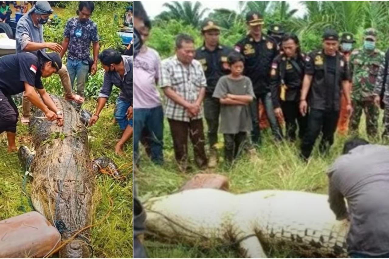 Krokodil progutao 8-godišnjeg dječaka