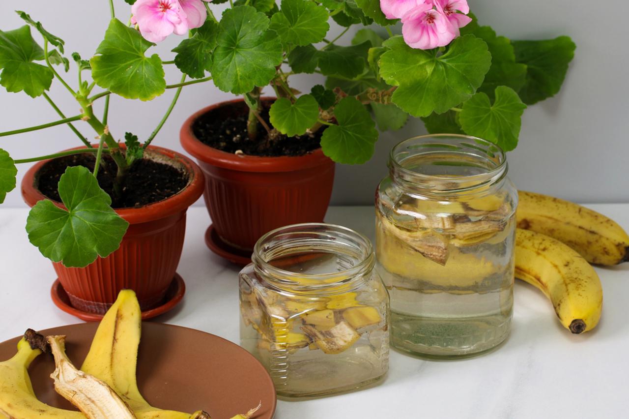 Voda s korama banane