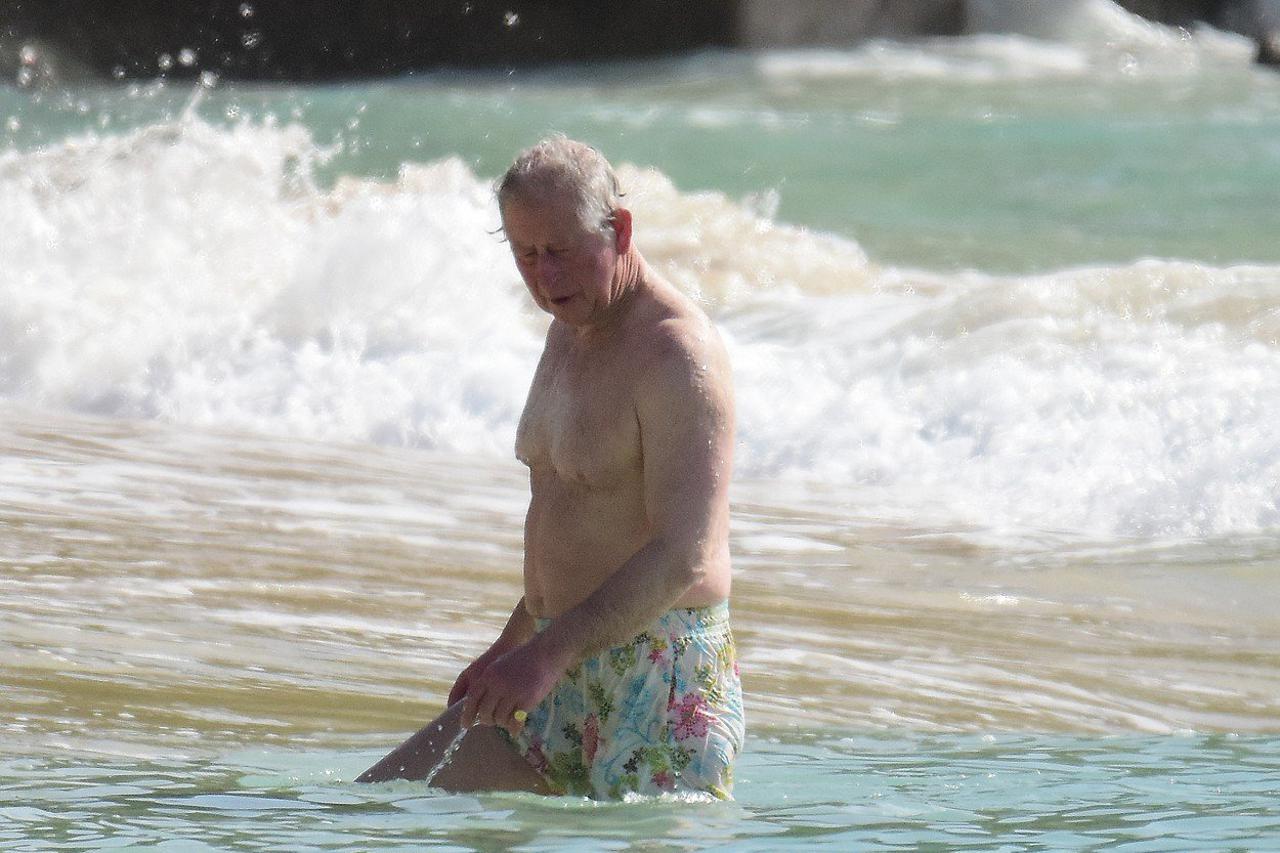 princ charles i vojvotkinja camilla bowles