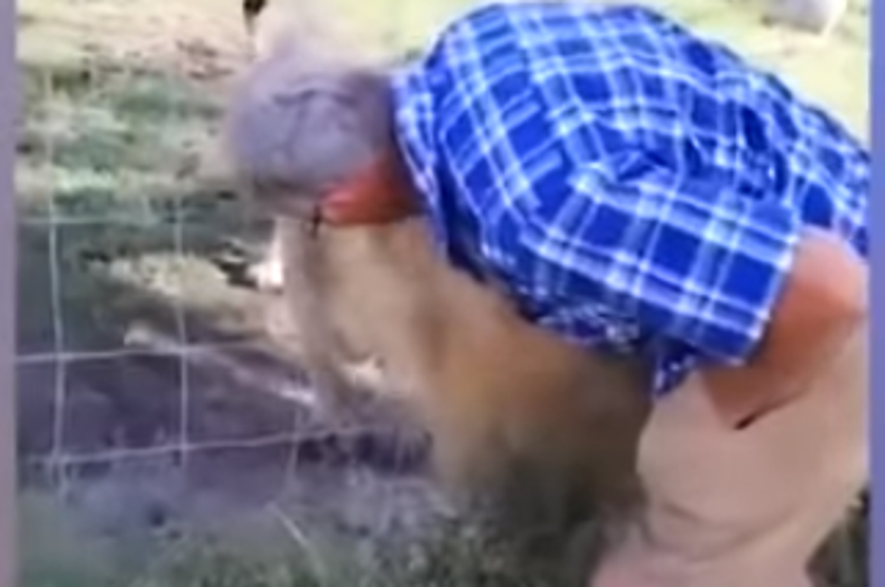 Pokušao pomaziti lava