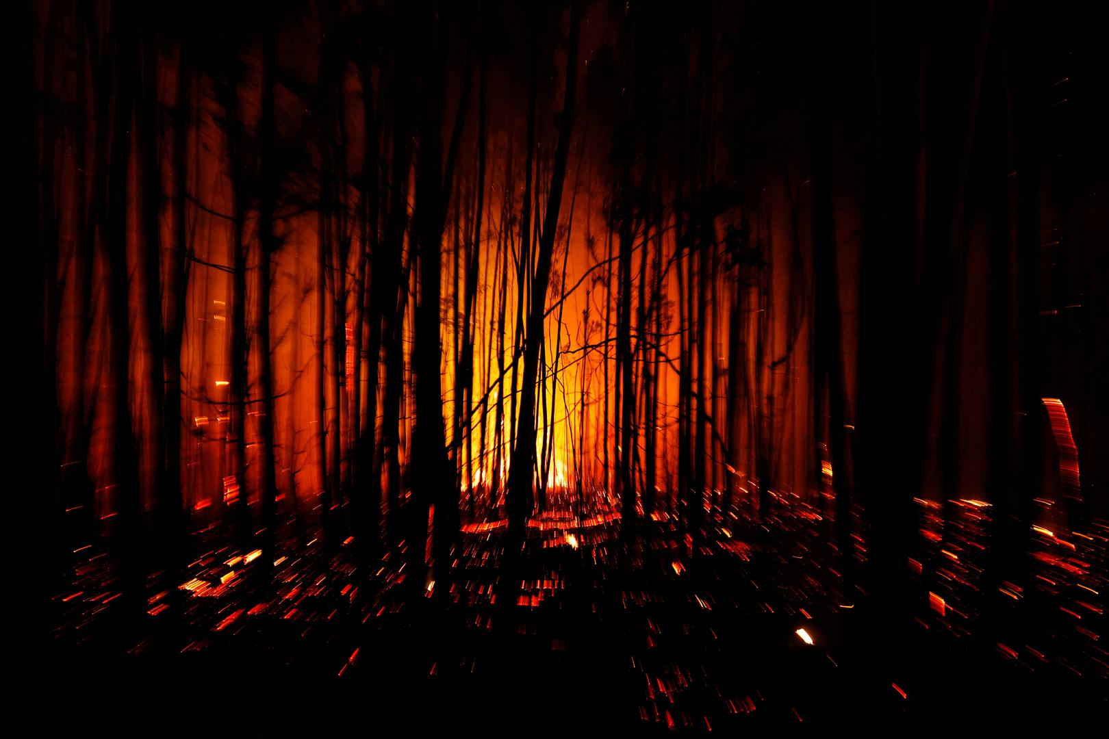 Trees burn during a wildfire in the vicinity of Soutelo, Portugal, September 18, 2024. REUTERS/Susana Vera Photo: SUSANA VERA/REUTERS