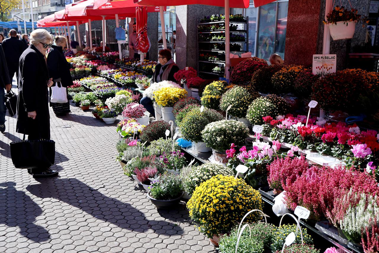 Zagreb: Multiflore na Splavnici od 2 do 9 eura