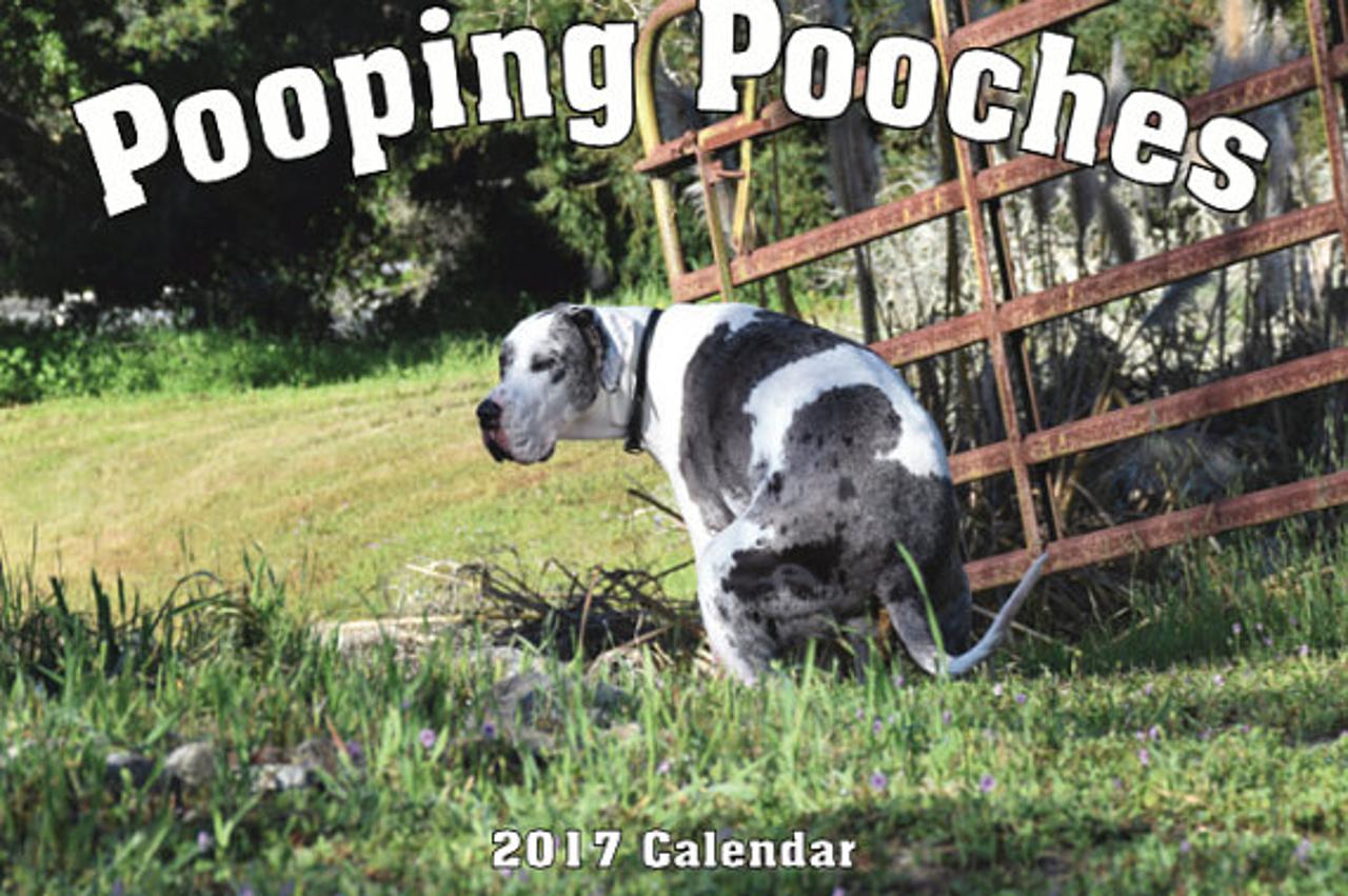 Pooping Pooches