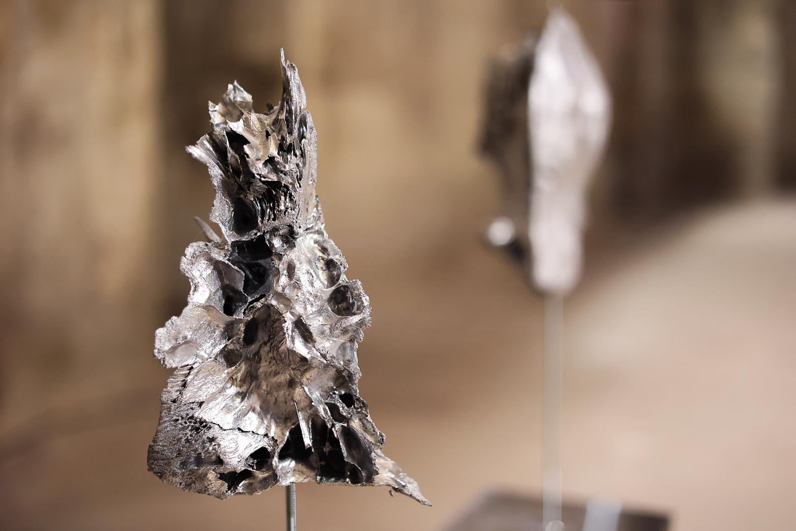 Objasnila je da svaki podzemni ambijent nosi drugačiju energiju pa se u tom prostoru nije željela natjecati s prostorom, nego mu pristupiti s poštovanjem. Izložba je minimalistički postavljena, a pojedini radovi zahtijevaju pažljivo promatranje. U središtu njezina interesa nalazi se istraživanje procesa prirodne kreacije, algoritama i obrazaca nastajanja