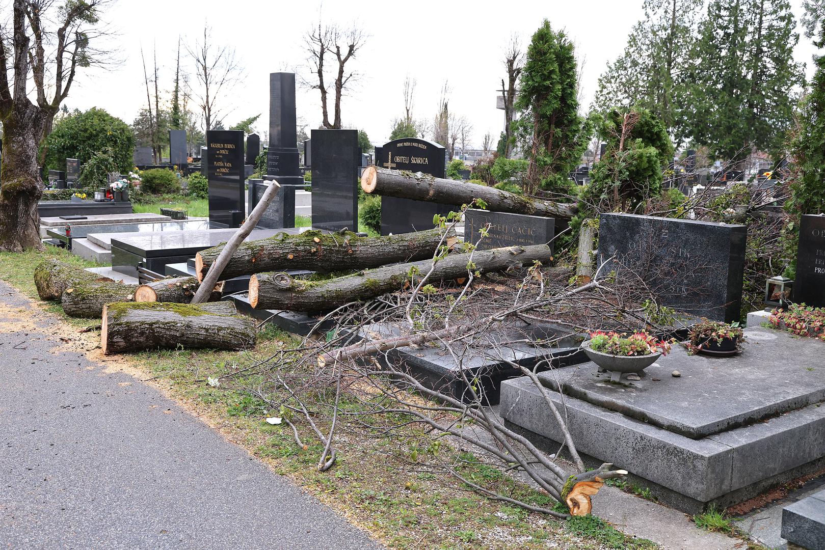 Na terenu su angažirane ekipe Zagrebačkog holdinga i drugih gradskih službi koje raščišćavaju puteve, uklanjaju stabla i pokušavaju vratiti groblje u funkcionalno stanje. Zbog razmjera štete, radovi će potrajati još neko vrijeme, a pristup pojedinim dijelovima i dalje je otežan.