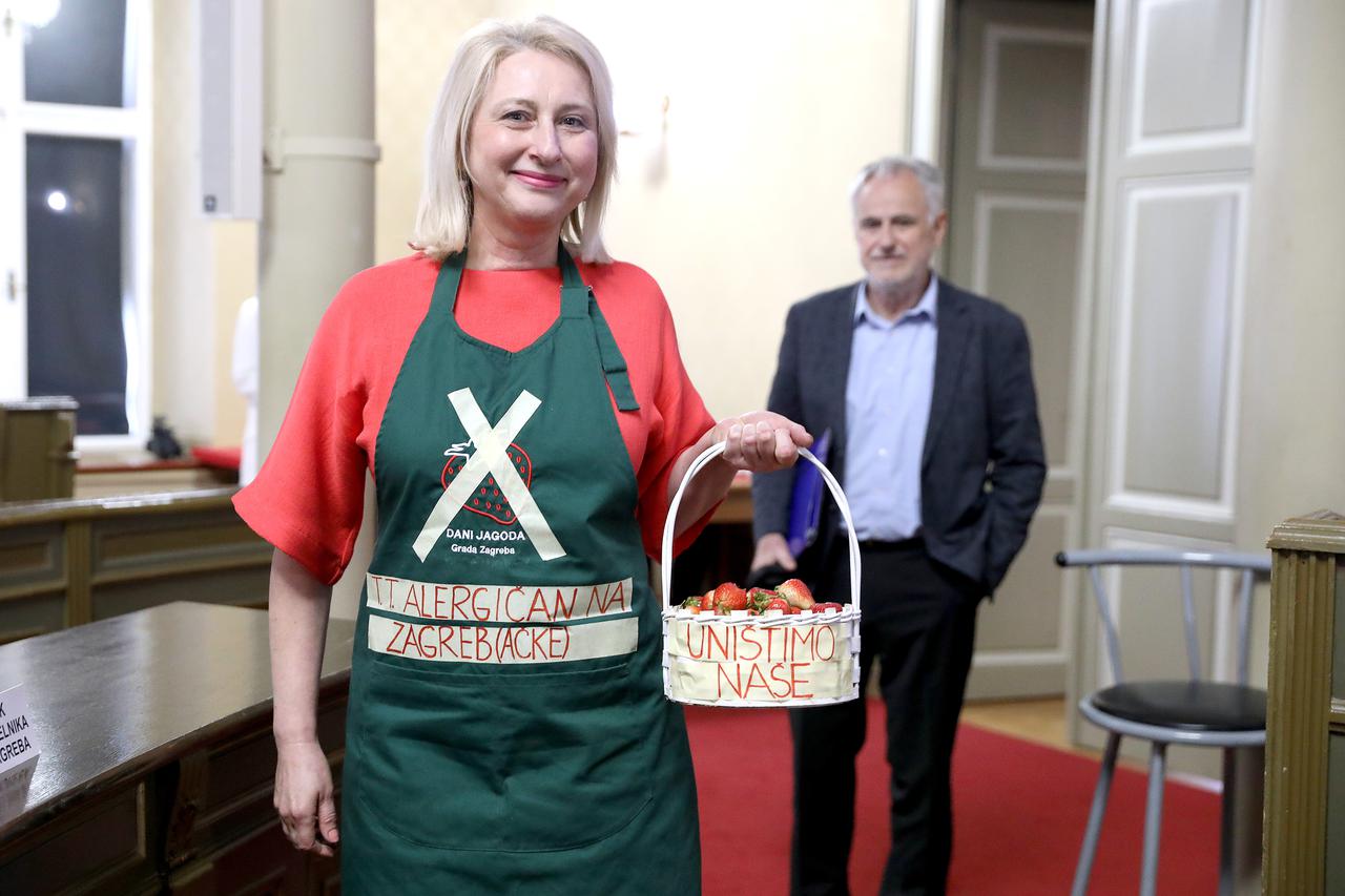 Zagreb: Počela je 22. sjednica Gradske skupštine 