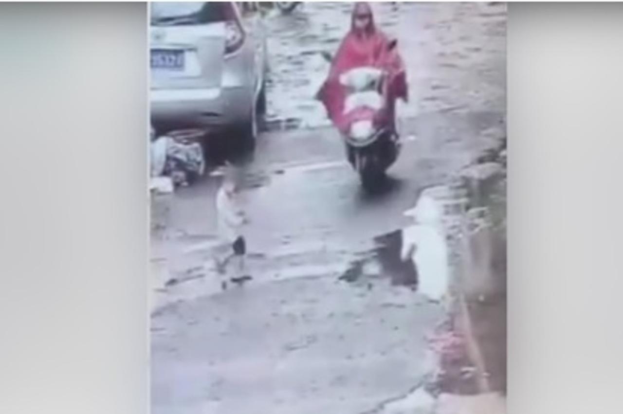 trudnica na motociklu