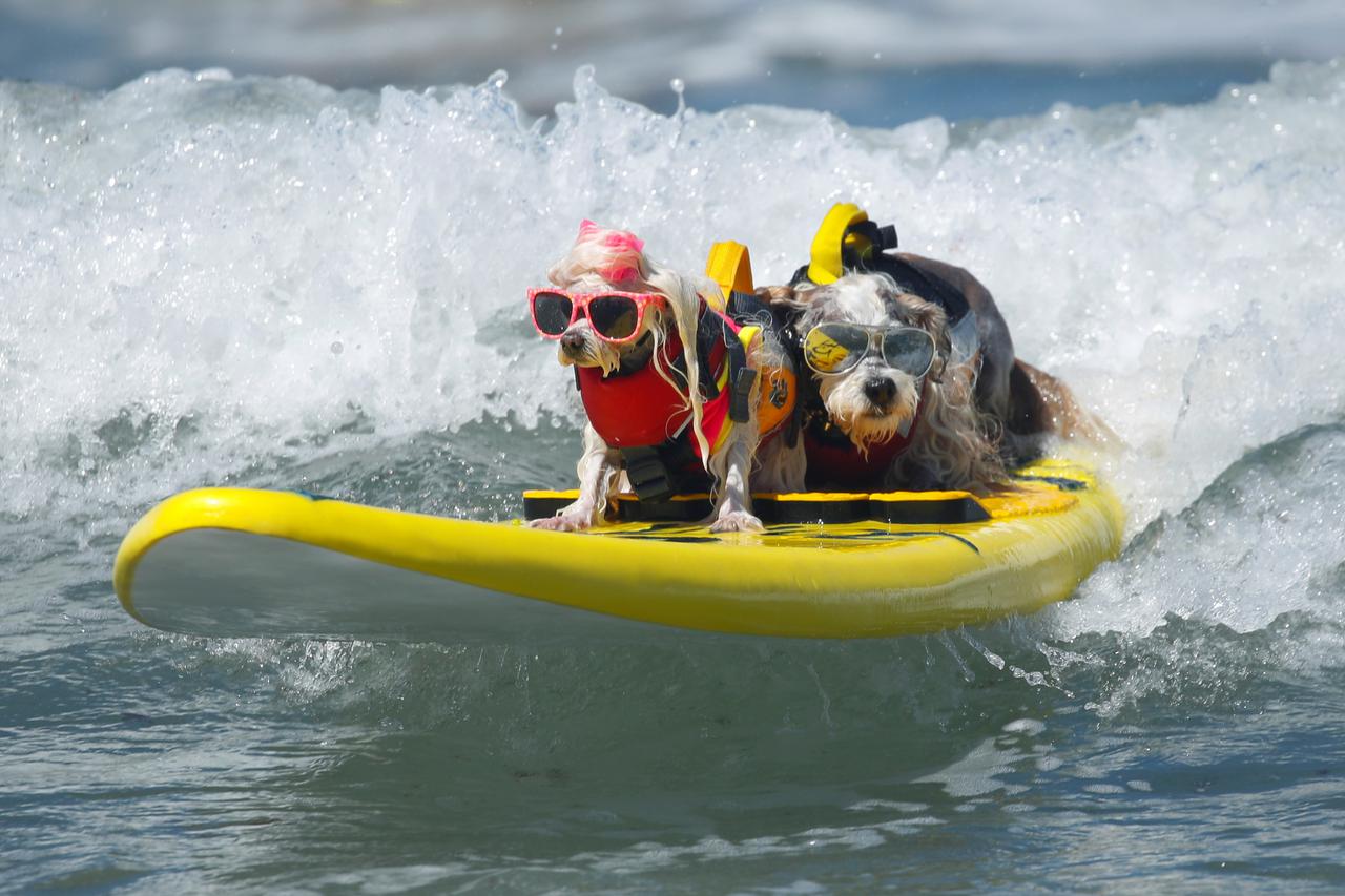 Pas surfer