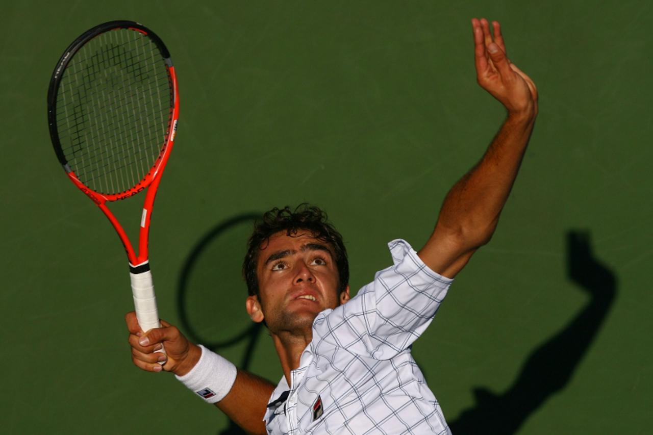 marin čilić