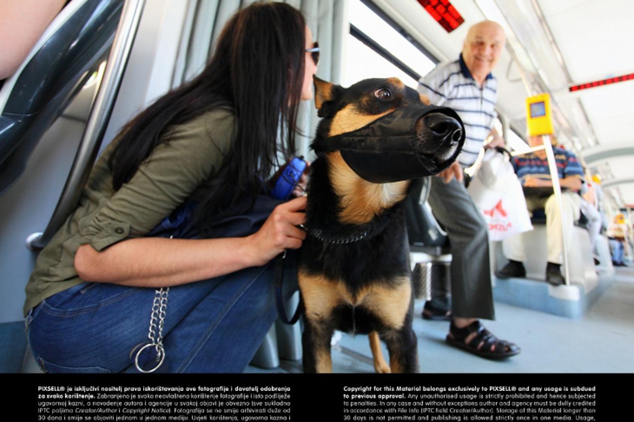 '10.05.2012., Zagreb - Reportaza o reakciji gradjana na prisutnost psa u javnom prijevozu.  Photo: Tomislav Miletic/PIXSELL'