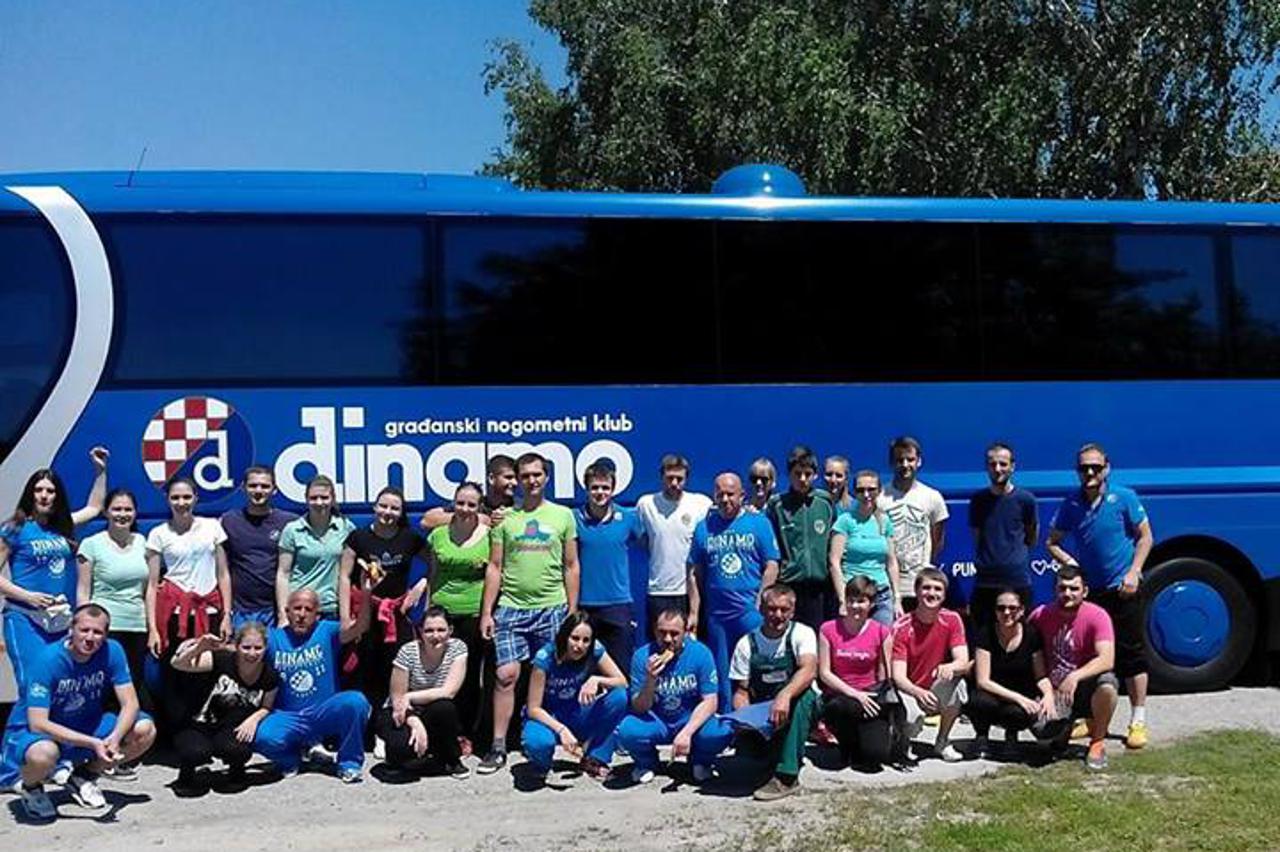 Dinamo
