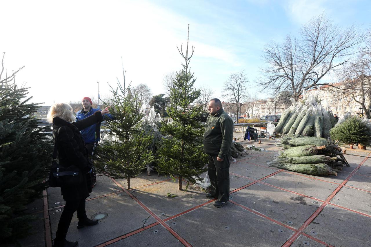 U Rijeci je počela prodaja božićnih drvaca