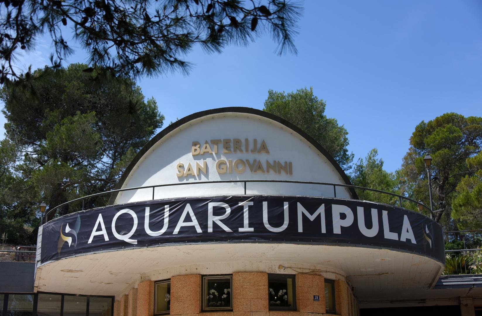 14.06.2023., Pula: U pulskom Aquariumu vrse se zadnje pripreme za povratak moru sest glavatih zelvi.
 Photo: Sasa Miljevic/PIXSELL