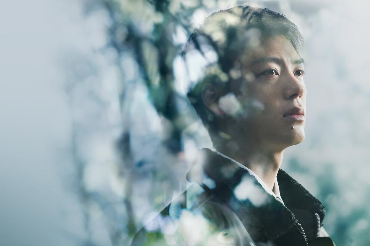 Serija "Tiha istina"