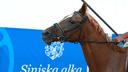 Horses Slip and Fall on Wet Ground During Sinj Festival