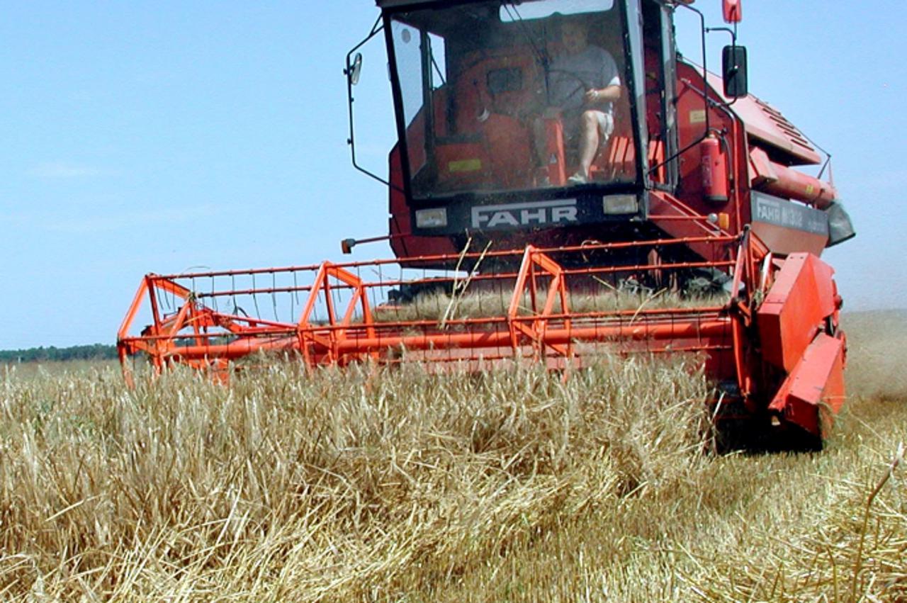 'za h slabeka - pod -. 220708  - zavrsena zetva psenice snimio dsantosi'