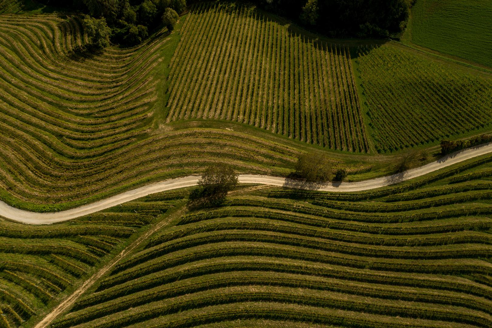 Otkriva kako uskoro pripremaju i novu turističku atrakciju - zipline dužine 1200 metara.