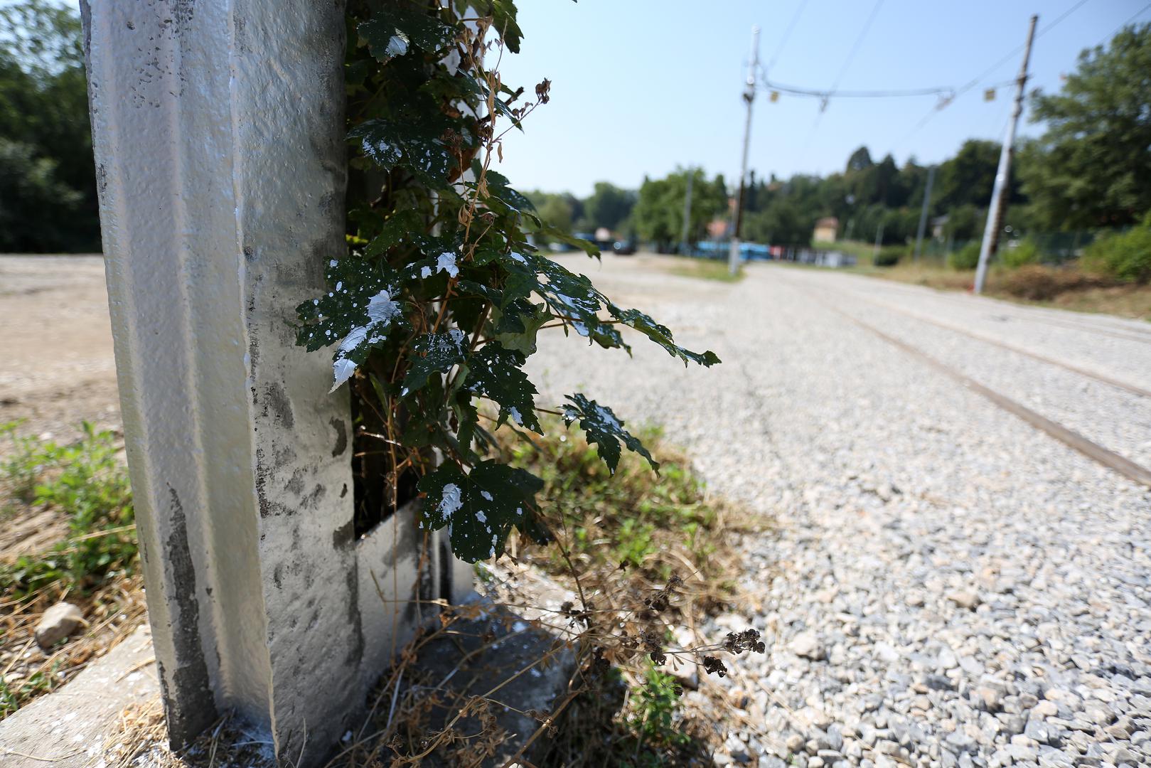 Pri bojanju stupova ofarban je i korov