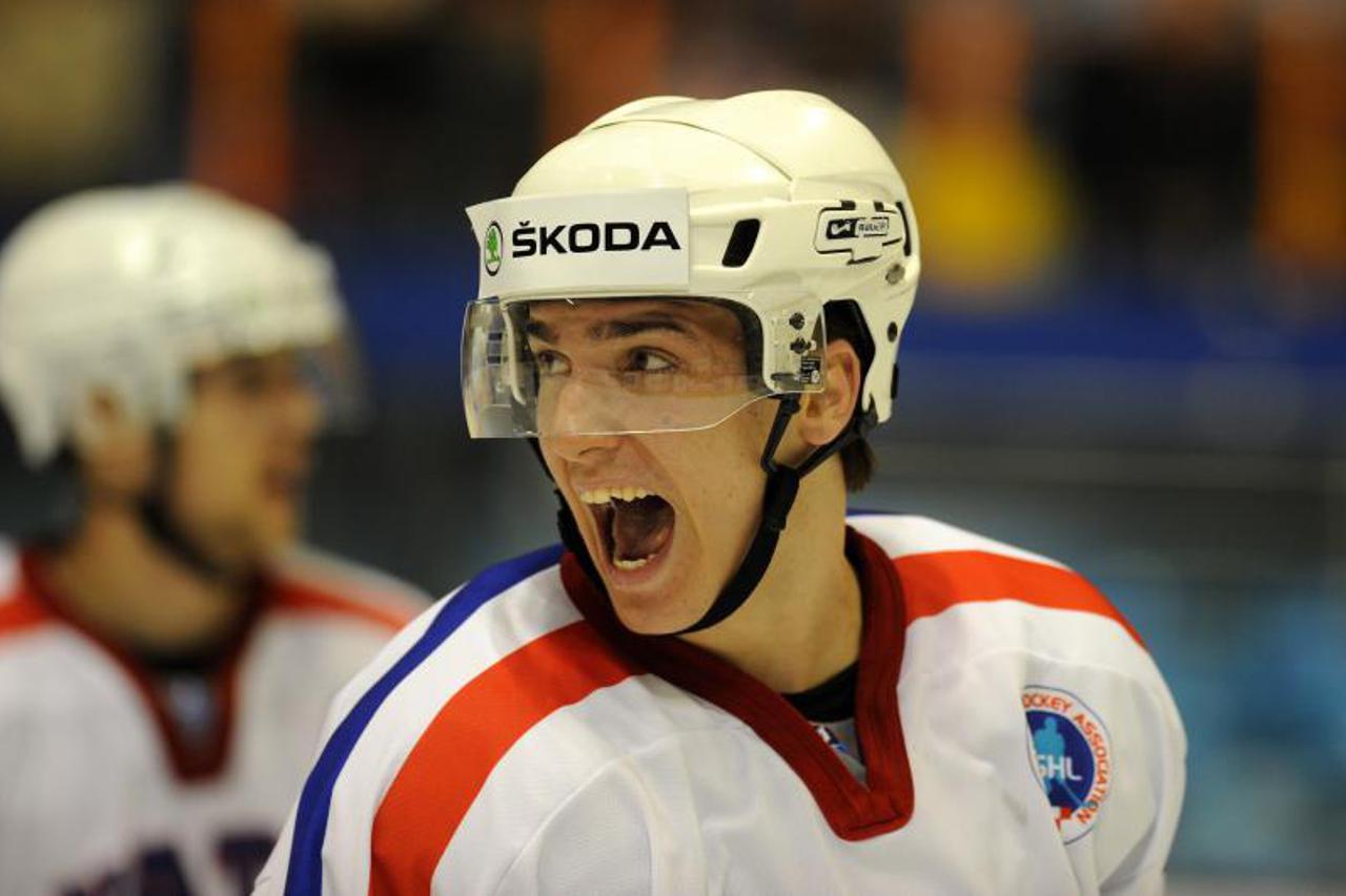 Borna Rendulić