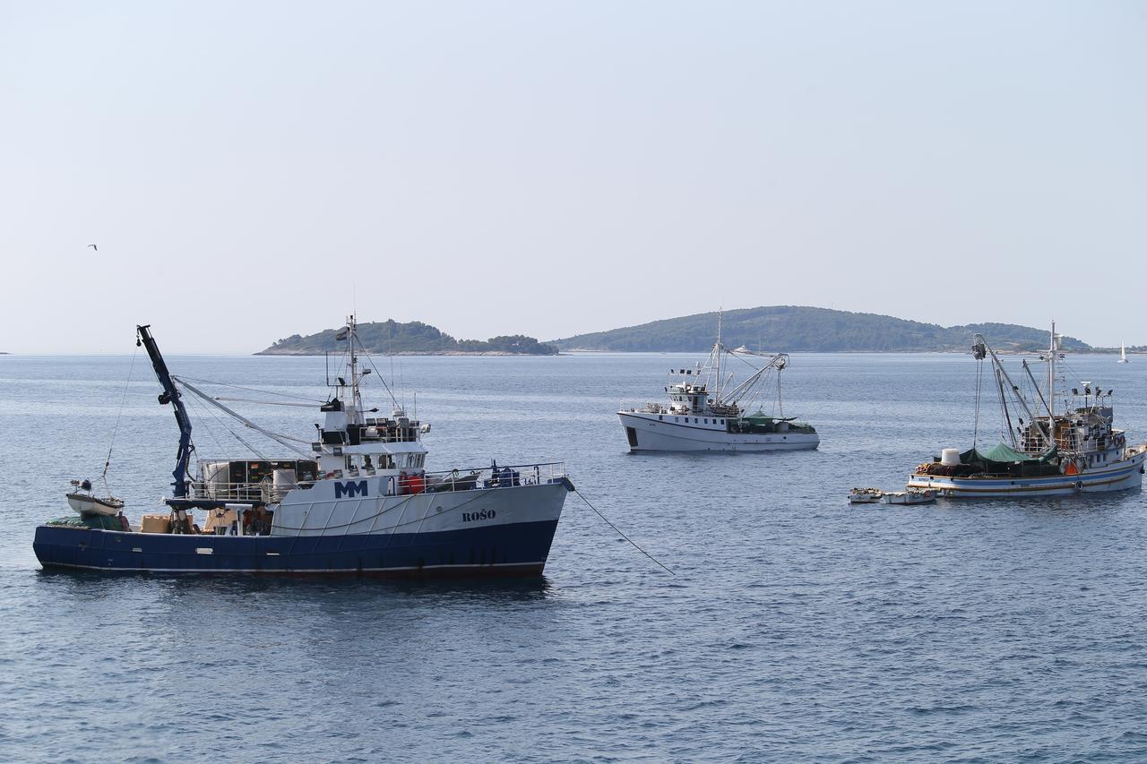 ribarica