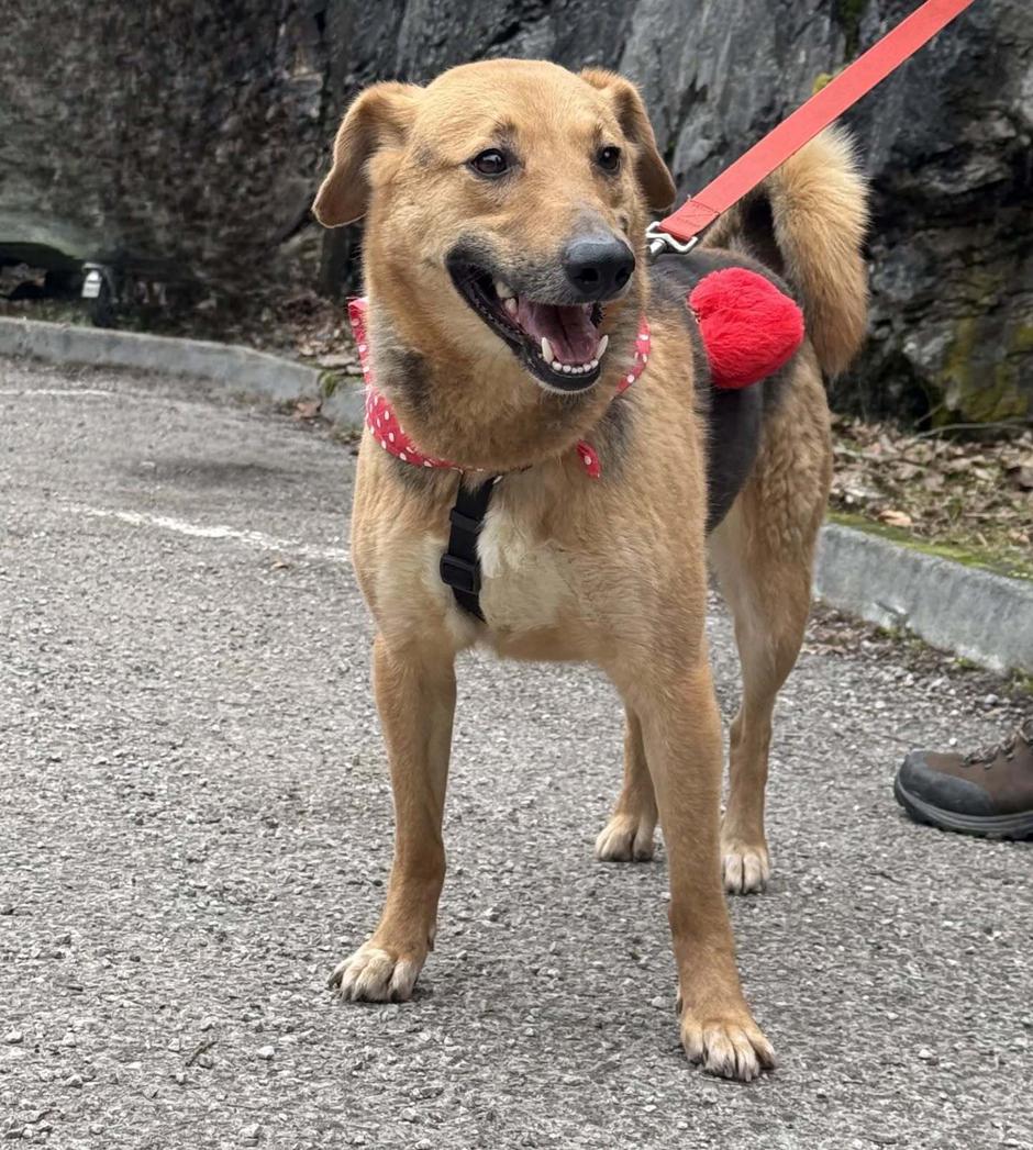 Alba je zaigrana i jako aktivna