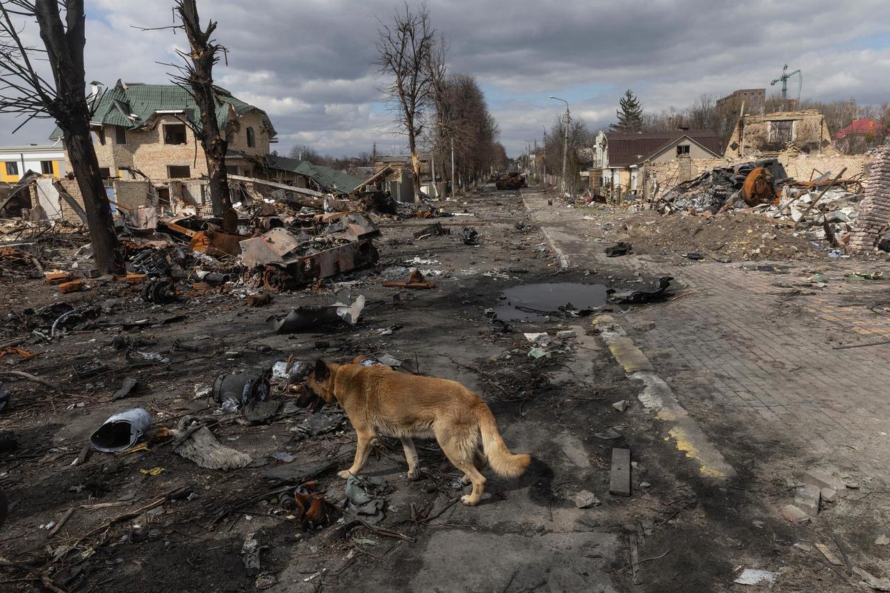 Russia's invasion on Ukraine continues