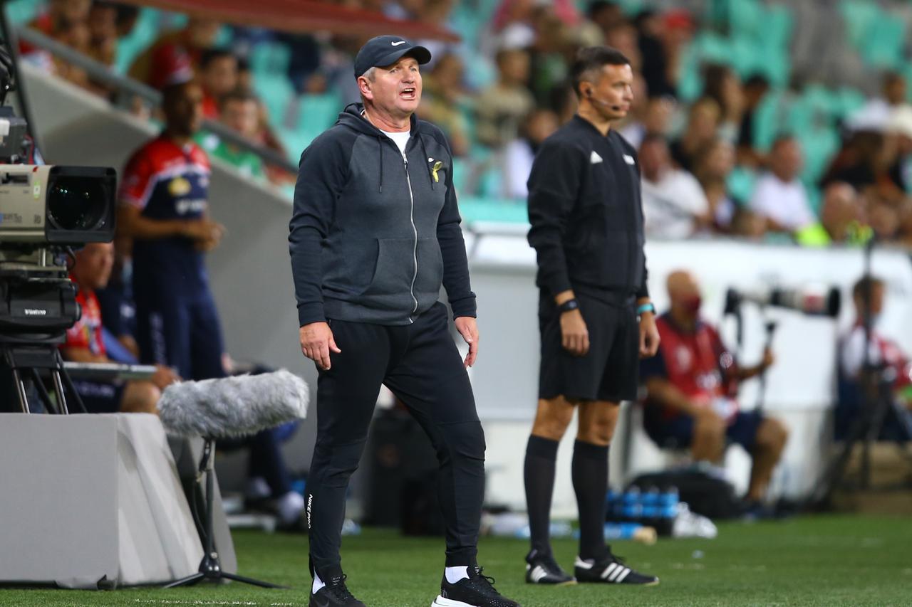 Matjaž Kek za vrijeme utakmice Slovenije