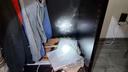Unexpected Visitor: Snake Found in Zagreb Home Safely Removed
