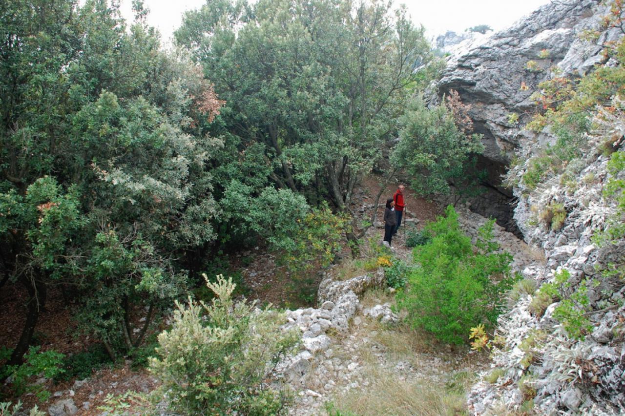 spila