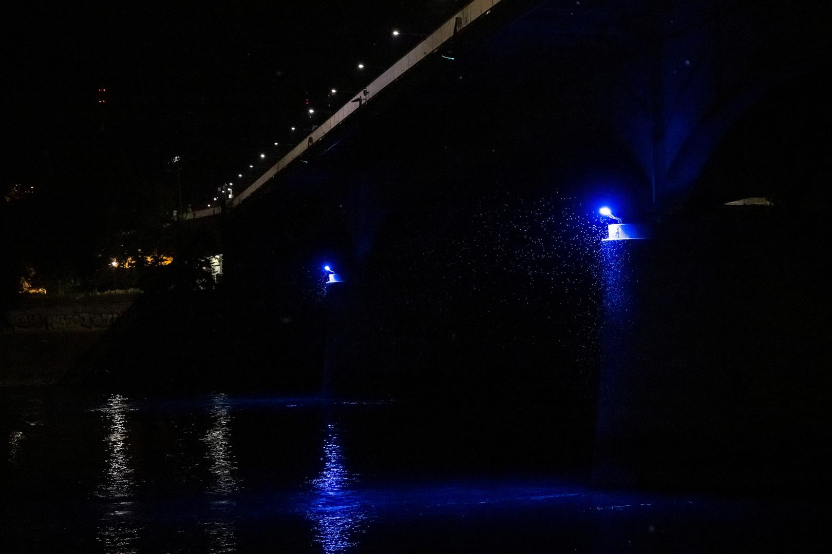 Gyorgy Kriska, izvanredni profesor na Sveučilištu Eotvos Lorand u Budimpešti, ističe: "Uočili smo da se masovni rojevi vretenaca javljaju u godinama s izrazito niskim vodostajem.", piše Reuters