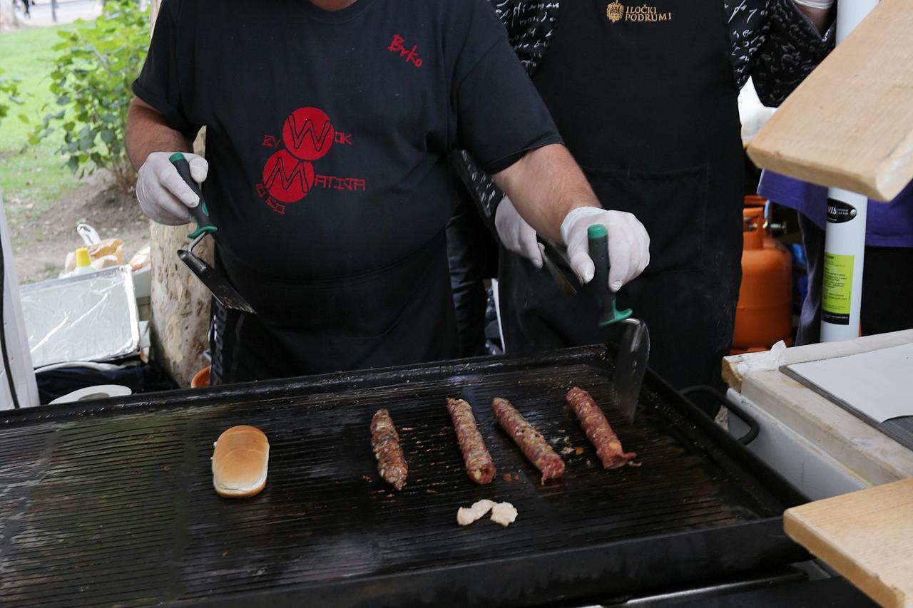 11.09.2015., Zagreb - U parku Zrinjevac odrzan je prvi Organic Food Film Festival