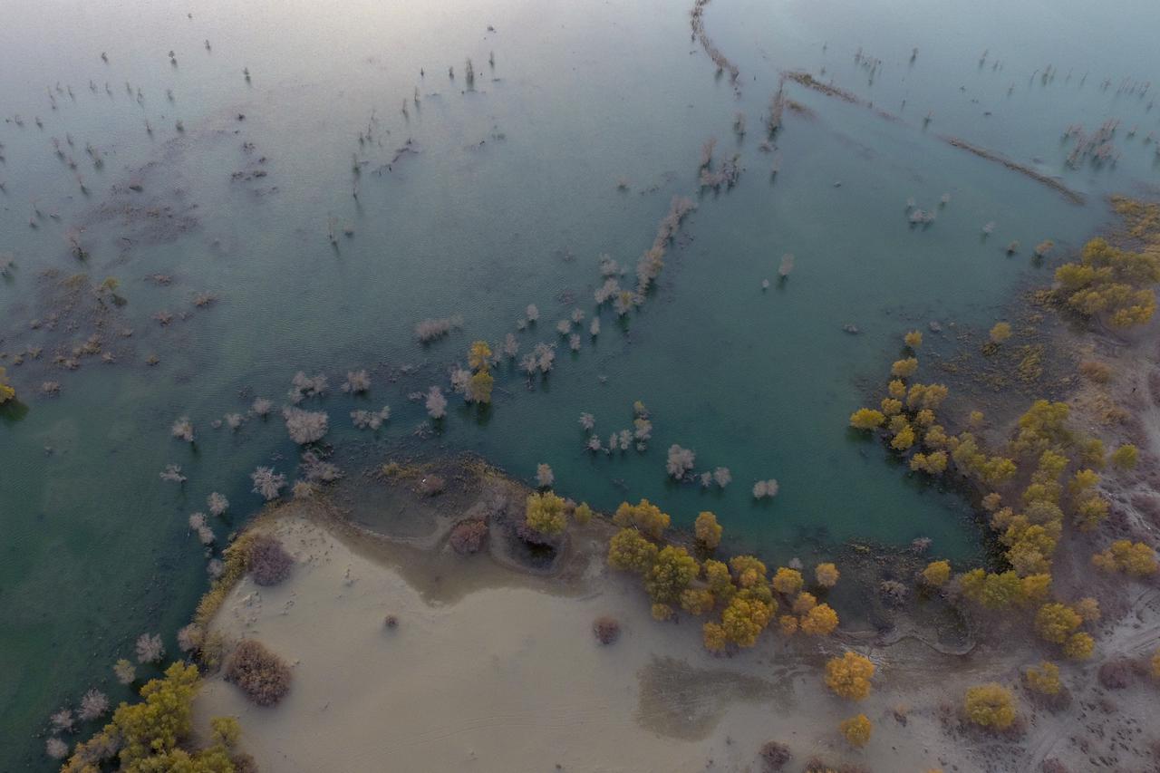 Pustinjska topola uz rijeku Tarim privlači veliki broj turista