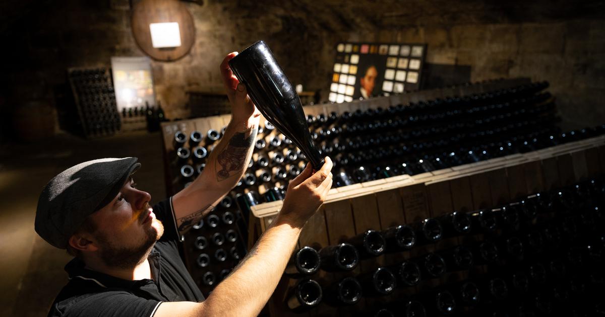 Optimalni uvjeti skladištenja vina ključni su za kvalitetu i trajnost