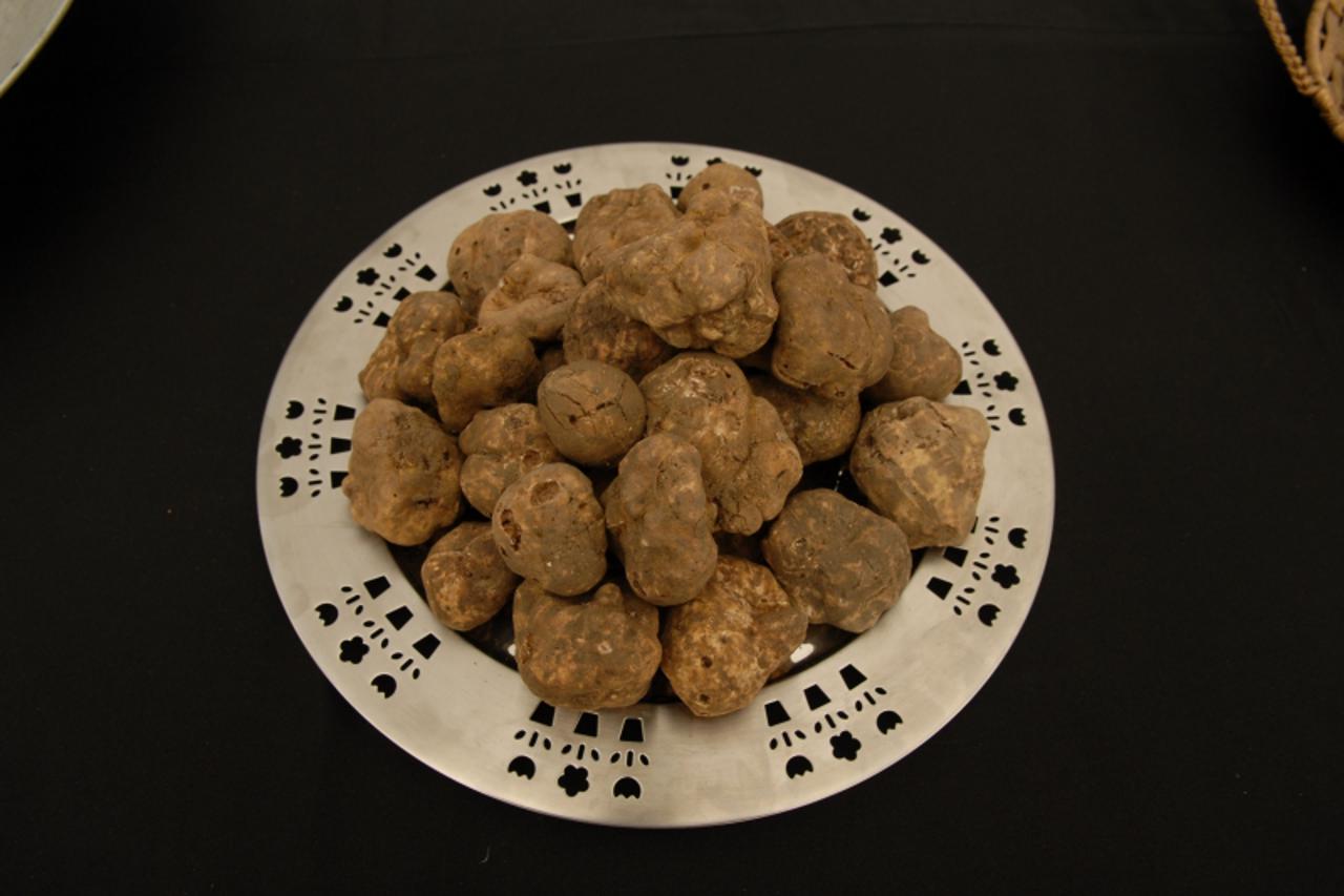 '10.10.10.Livade.,-Presjednik Ivo Josipovic posjetio i otvorio manifestaciju Dani Tartufa Zigante u Livadama Photo: Dusko Marusic/PIXSELL'