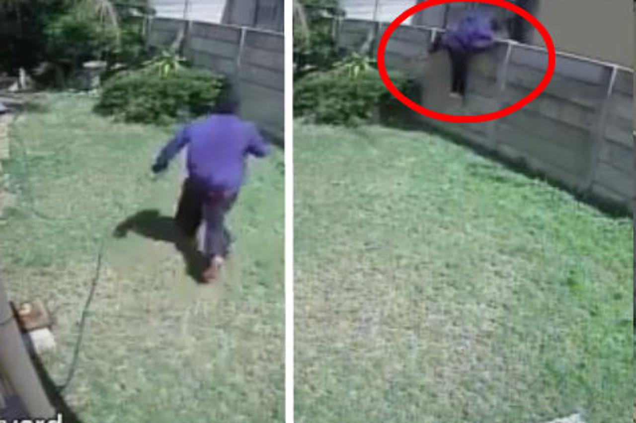 Lopova prestrašio maleni pas