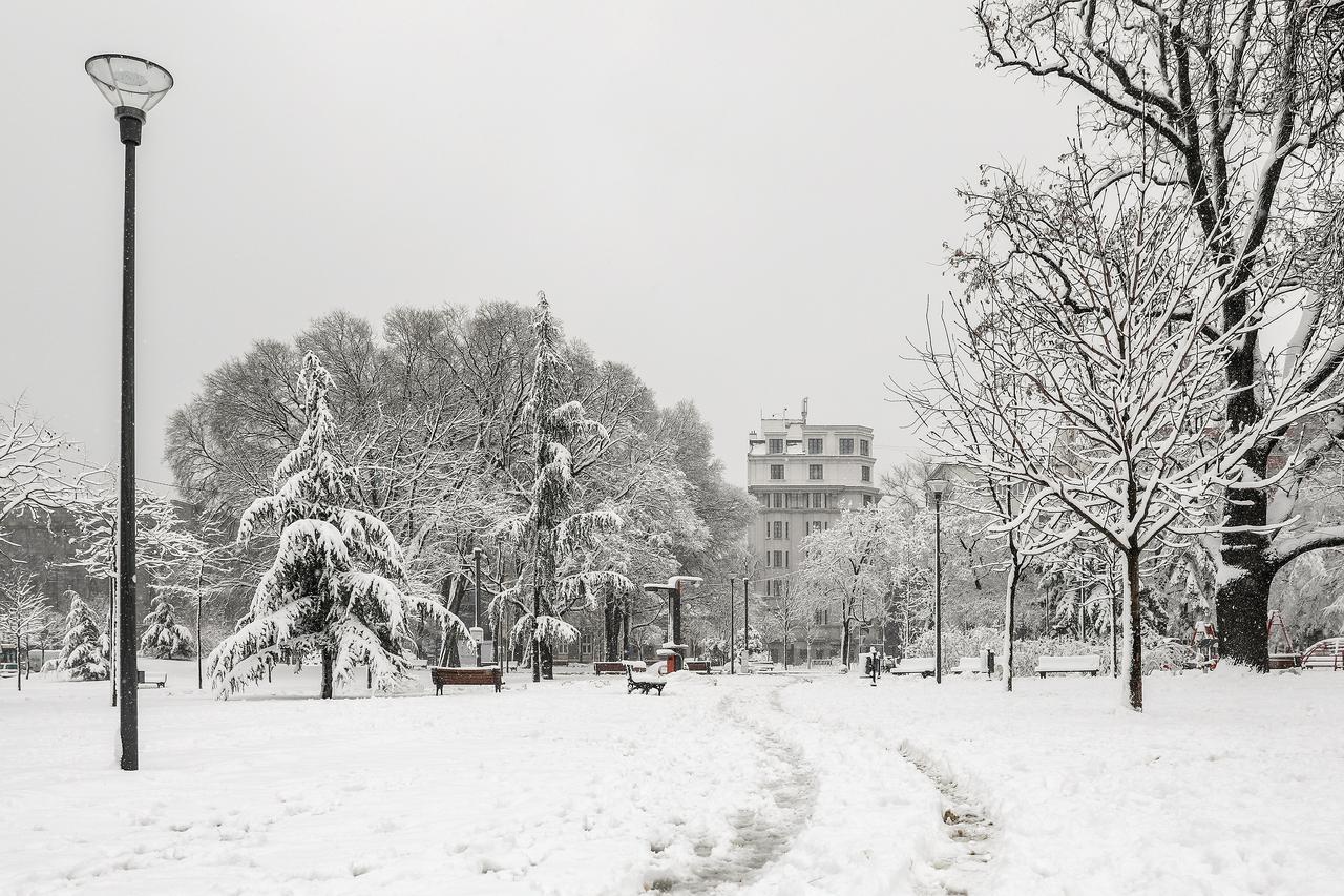 Snijeg prekrio ulice Beograda
