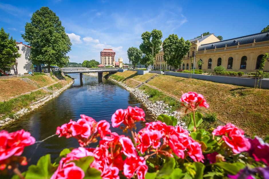 Podunavlje