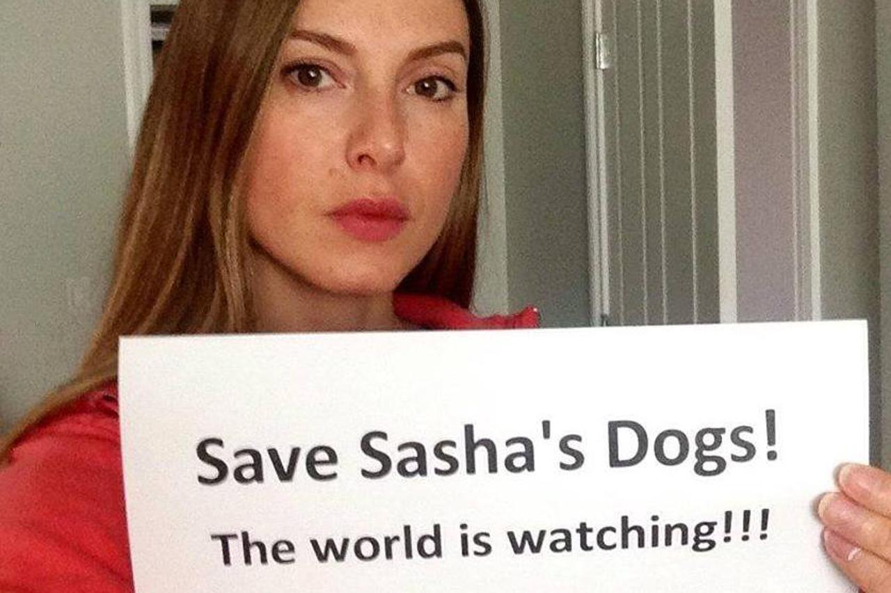 Serbia's Forgotten Paws,Saša Pešić,psi,Niš