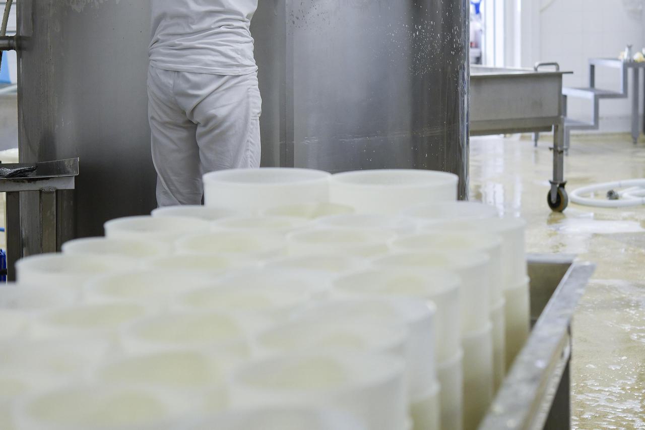 Ilustracija (Na fotografiji nije mljekara koja se spominje u članku)