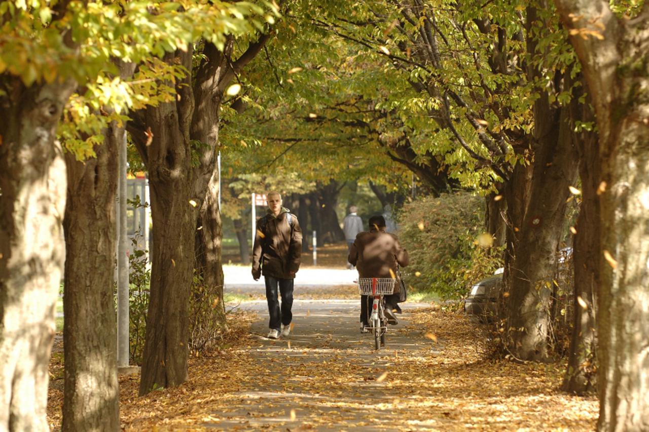 '15.10.2010., Cakovec- Cakovecki perivoj pun prekrasnih jesenjih boja. Photo: Vjeran Zganec Rogulja/PIXSELL'