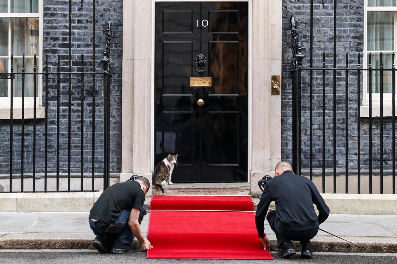 Larry the Cat watches as workers roll out a red carpet for Nigerian President Bola Tinubu outside 10 Downing Street in London